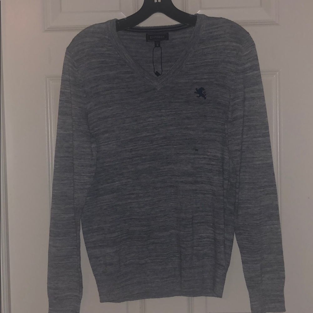 Express men v neck sweater